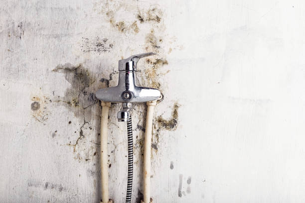 Best Water Damage Restoration  in Lockeford, CA