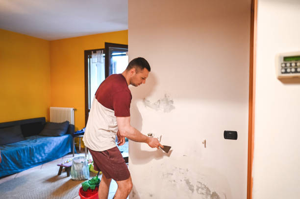 Best Fast Mold Removal  in Lockeford, CA