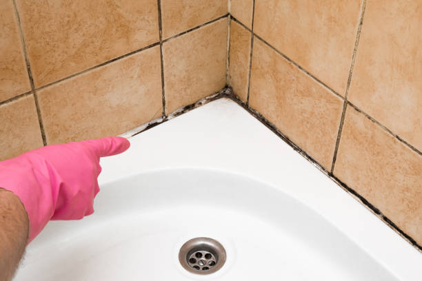 Best Certified Mold Removal  in Lockeford, CA